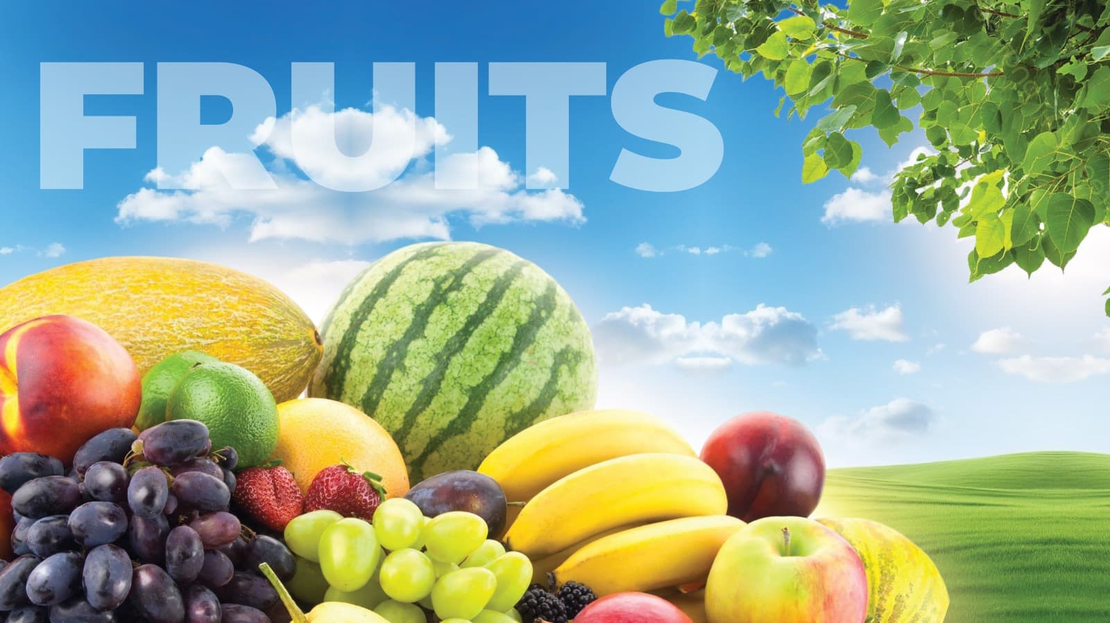 Fruits