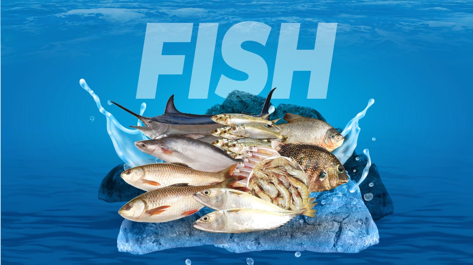 Fish