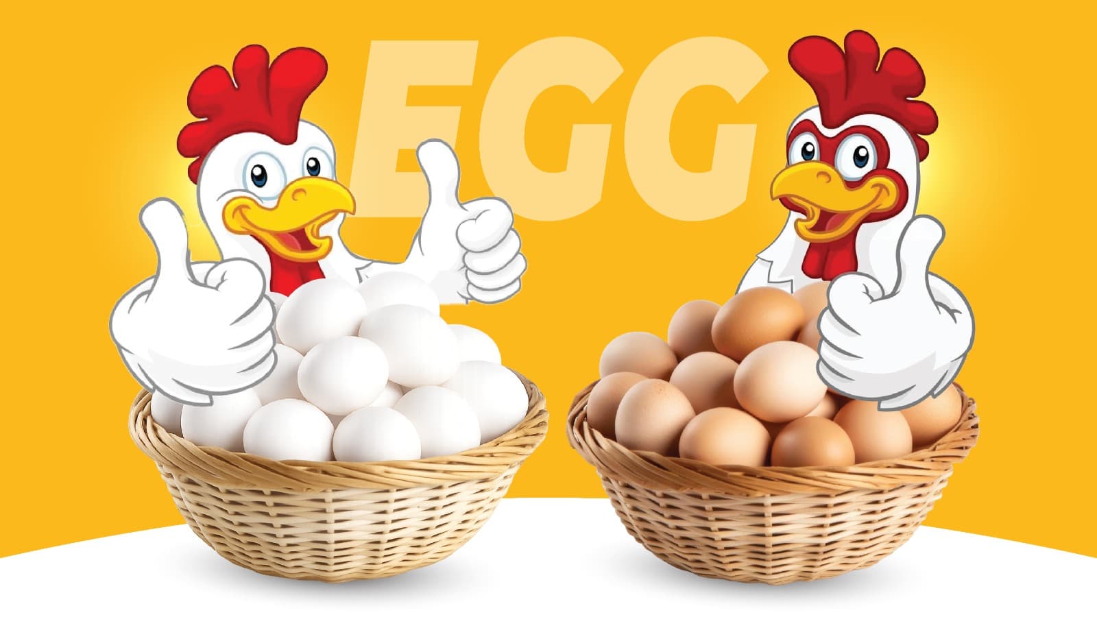 Egg