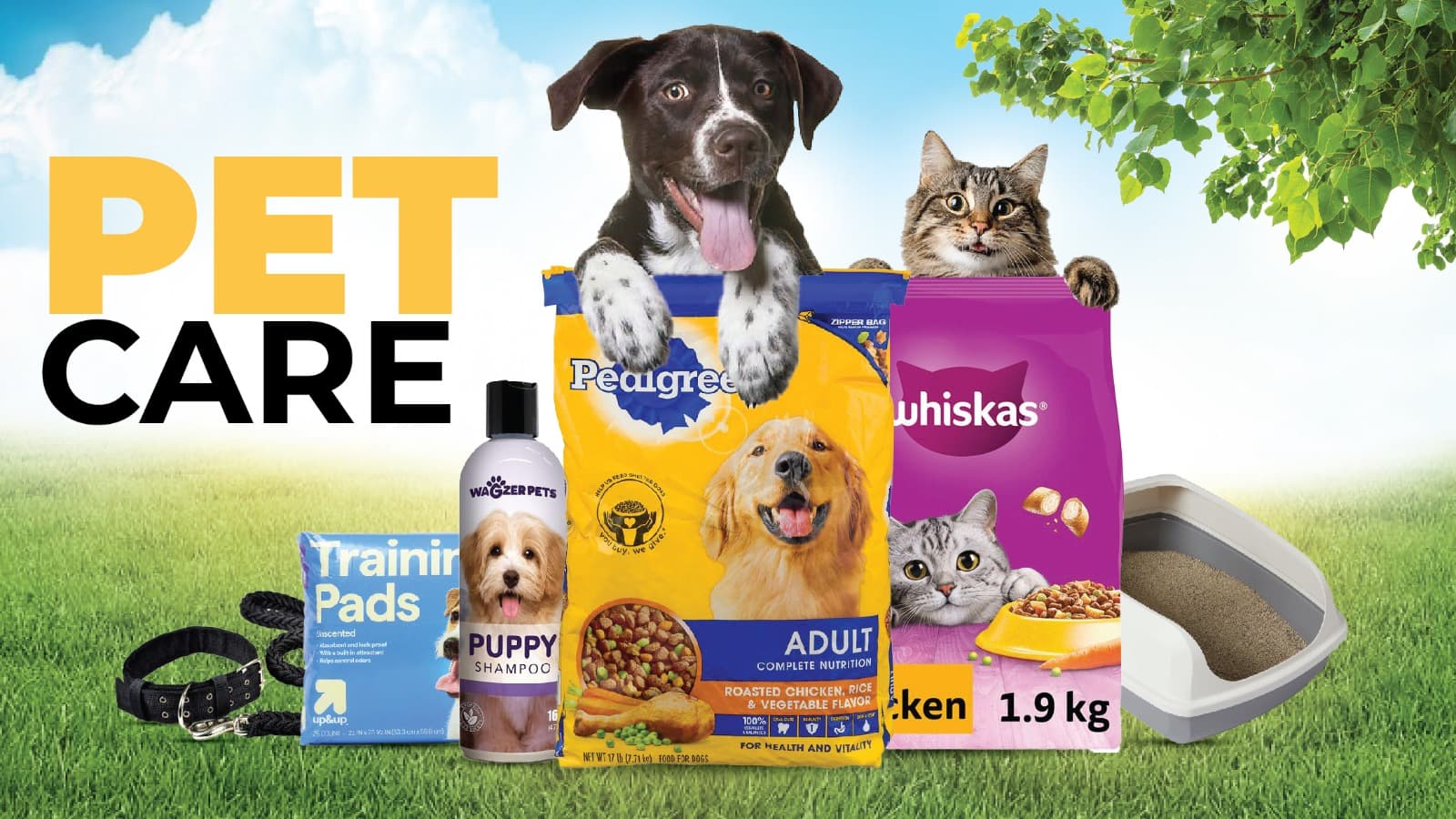 Pet care