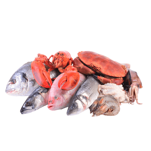 Fish