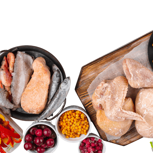 Frozen Food