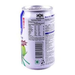 Ice Cool Roasted Coconut Juice 310 mL - image 2