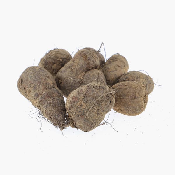 Koorka India Air 500 g