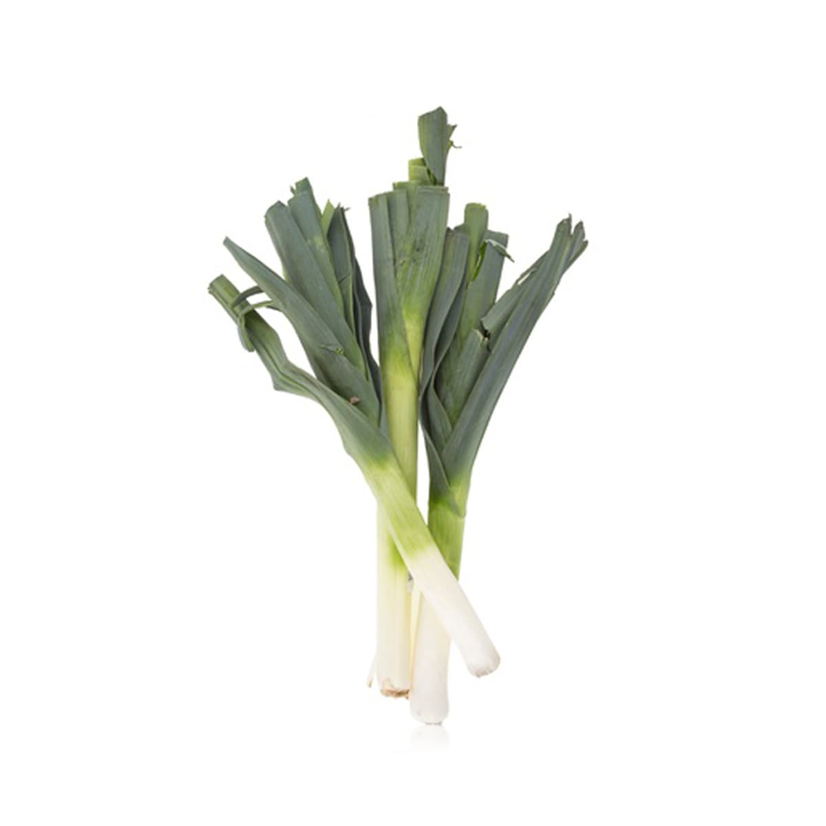 Leeks Holland 100 g