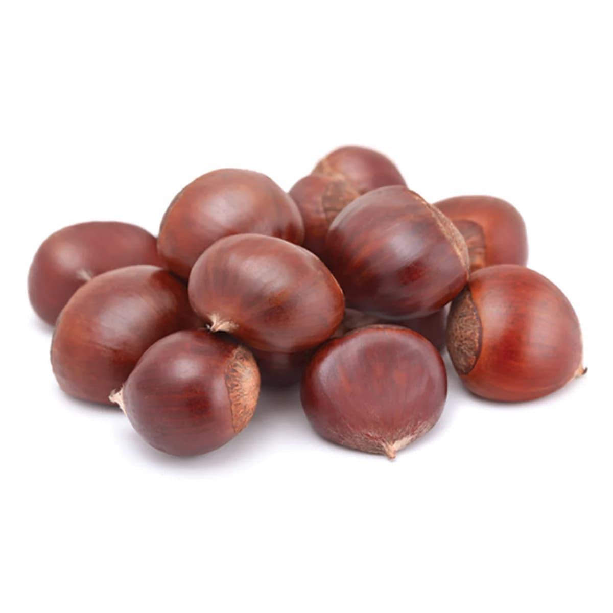 Chestnut China 500 g