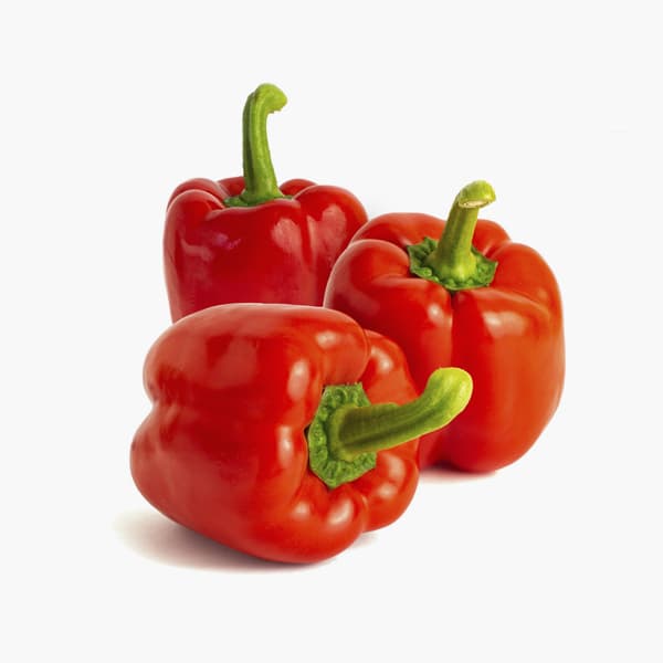 Capsicum Red Qatar 250 g