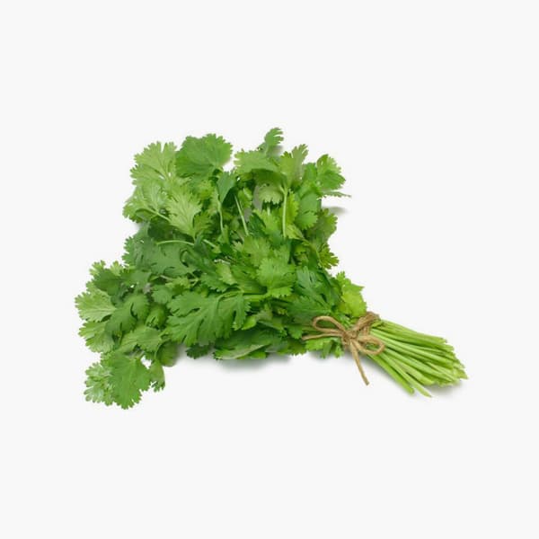 Coriander Turkey 100 g