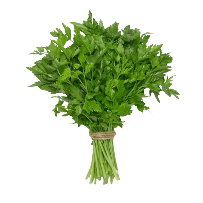 Parsley Leaves Jordan Pc