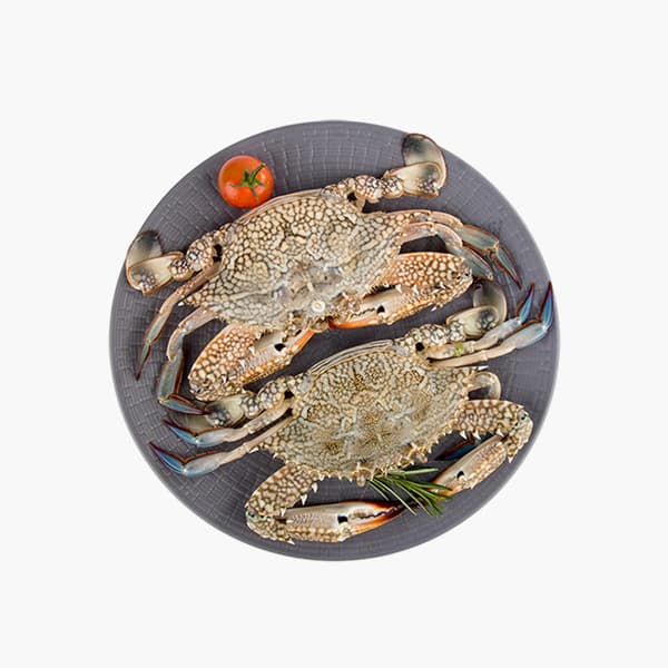 Crab Lady BIG Qatar 500 g