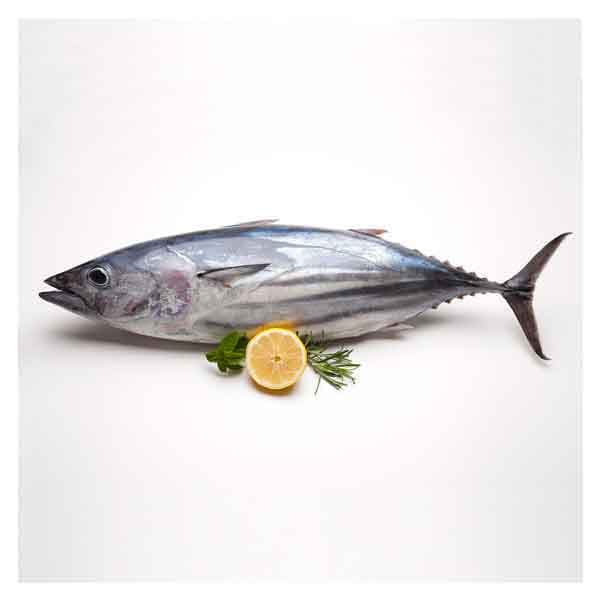 Tuna Fish Small Doha 500 g