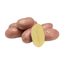 Potato Red Pak 500 g - image 1