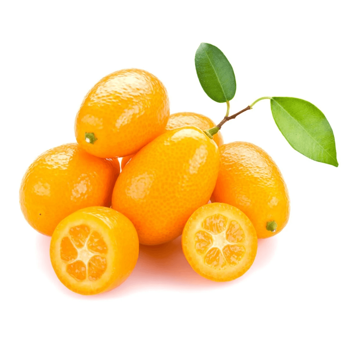 Kumquat Lebanon