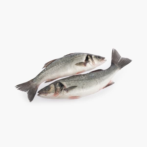 SEA Bass Qatar 500 g