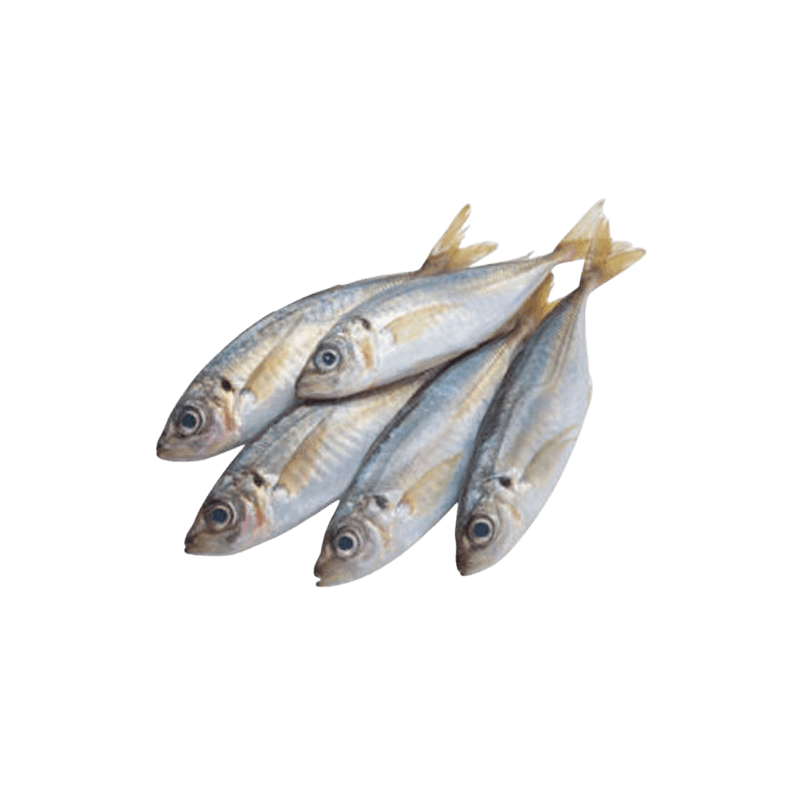 Krary Fish Medium Qatar 500 g