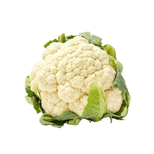 Cauliflower Farm Qatar