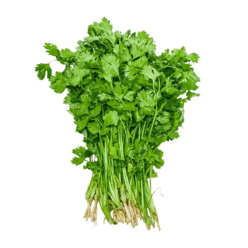 Coriander Leaves Farm Qatar 100 g