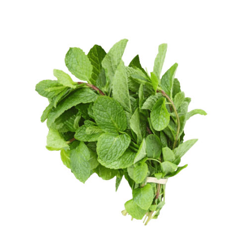 Mint Leaves Lebanon 100 g