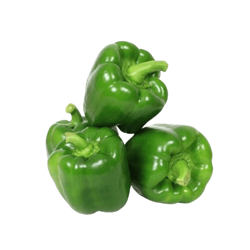 Capsicum Green Iran 250 g