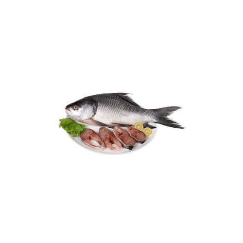 Catla Egypt 1 Kg