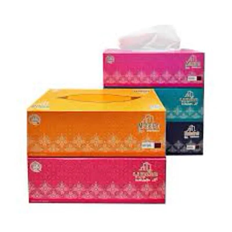 Msheireb 2 Ply Facial Tissues Polypack 200 Sheet