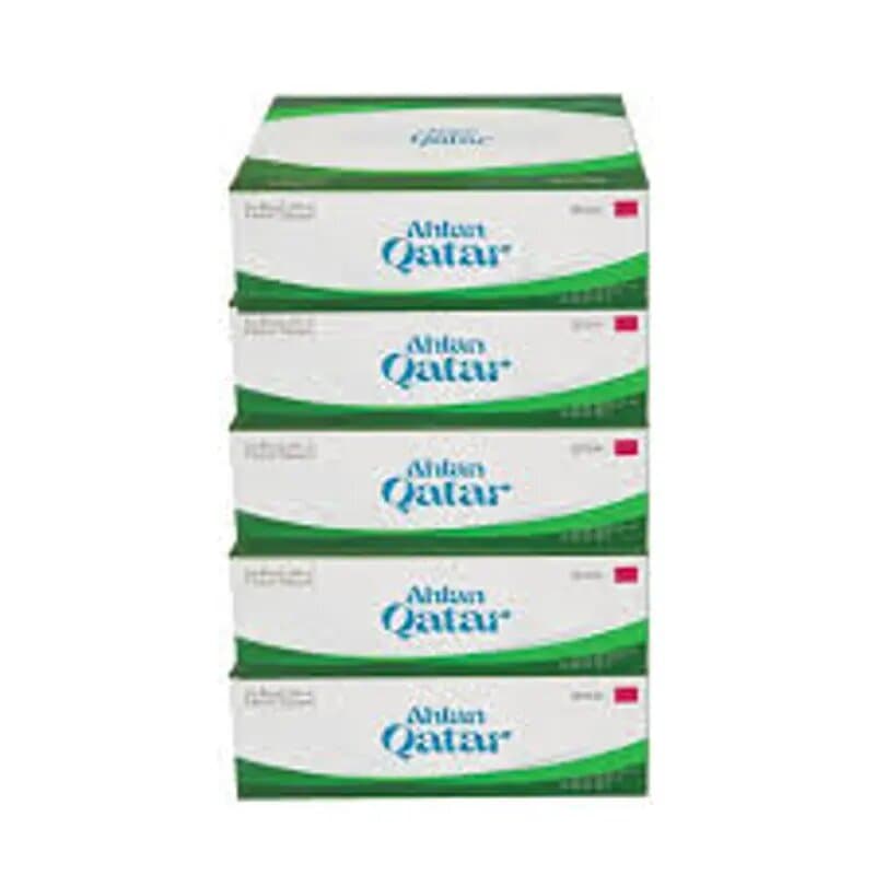 Ahlan Qatar Facial Tissue 180 x 180mm 175 Sheets