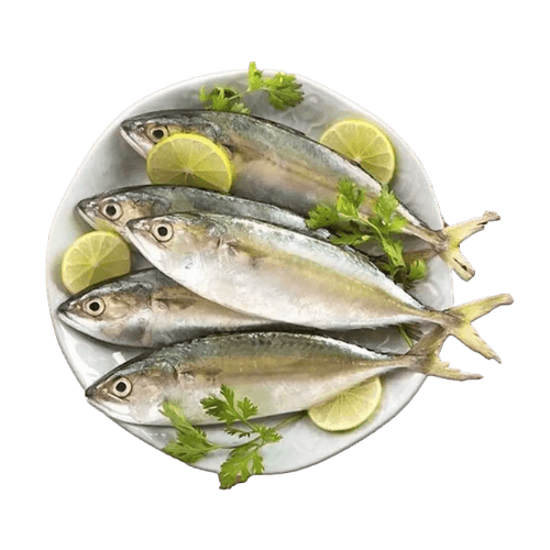 Mackerel Small Saudi 500 g