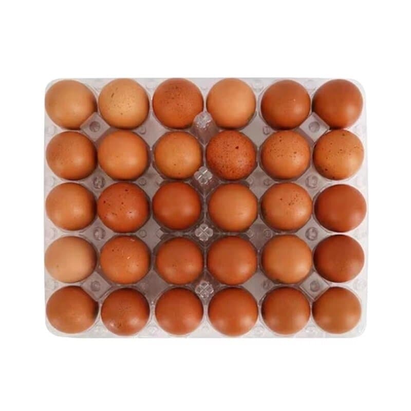 Fresh Brown Egg Large 6 Pc