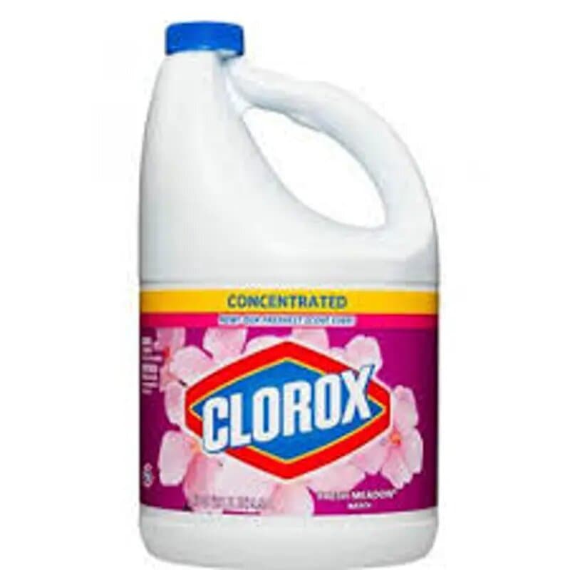 Clorox Fresh Medow 1 Gallon