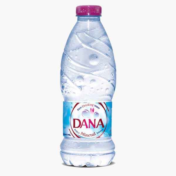 Dana Pure Mineral Water 350 mL