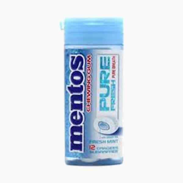 Mentos Fresh Mint Gum 24 g