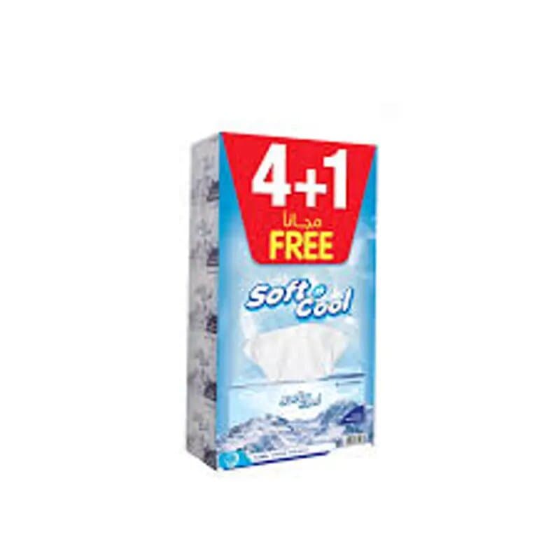 Soft N Cool Tissue 200 Pc 2ply 4 + 1 Free