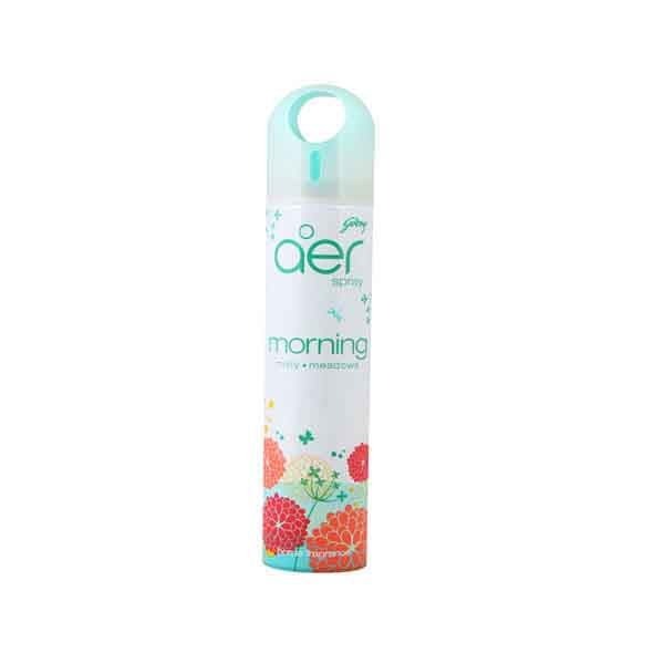 Godrej Morning Misty Meadows Aer Spray 300 mL