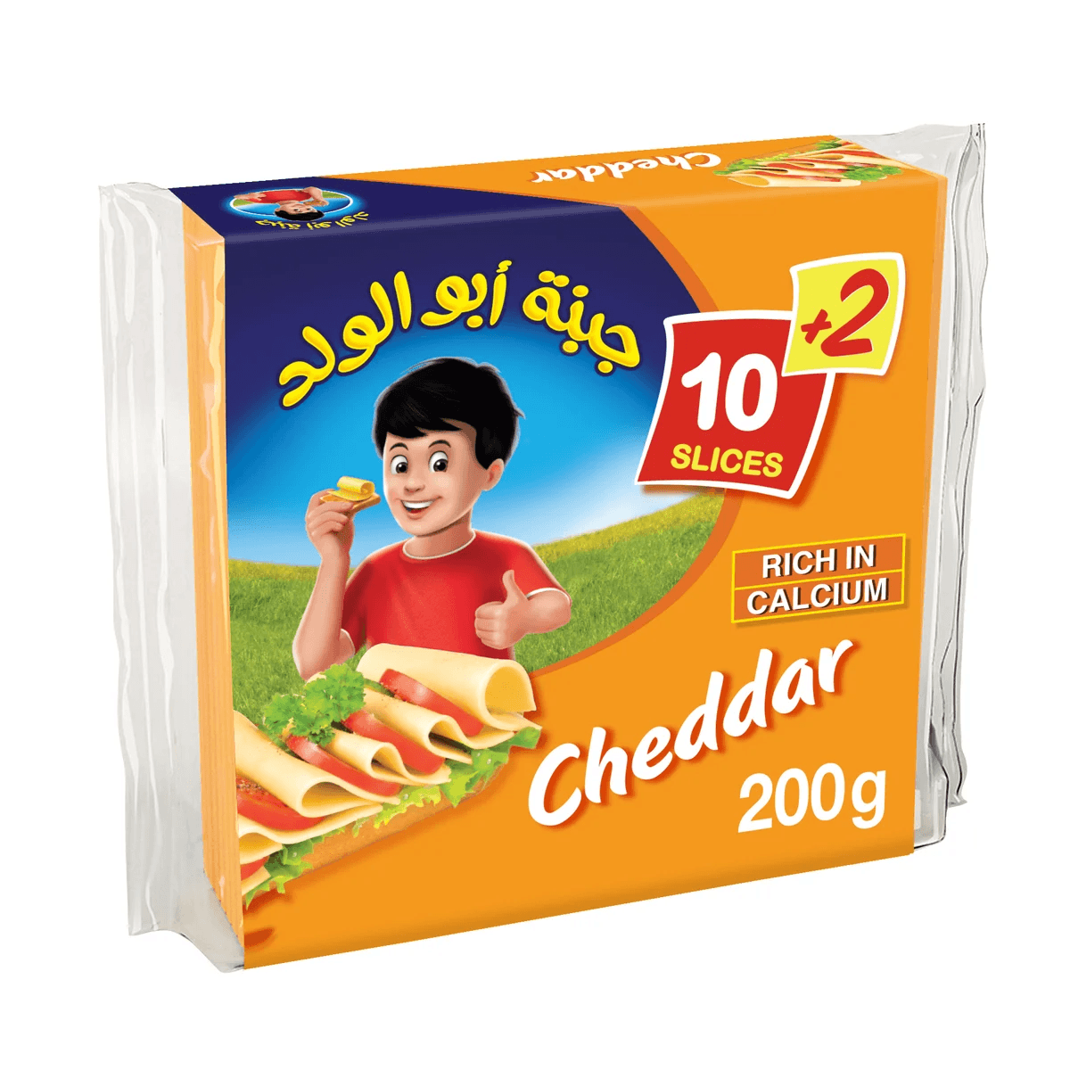 Regal Picon Slice Cheddar Cheese 200 g