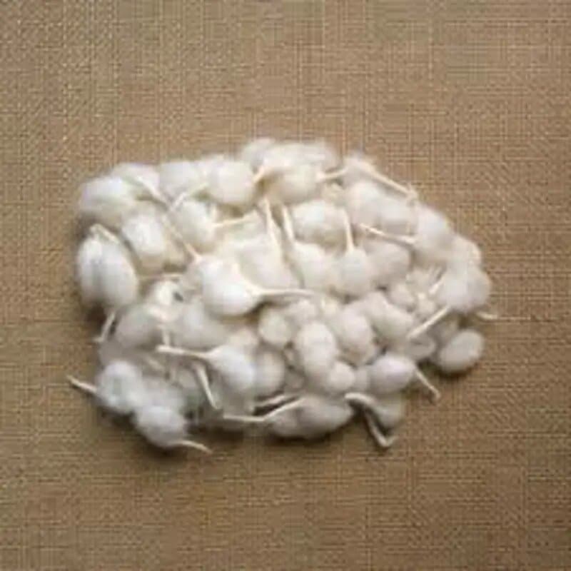 Aac Aryas Cotton Wicks