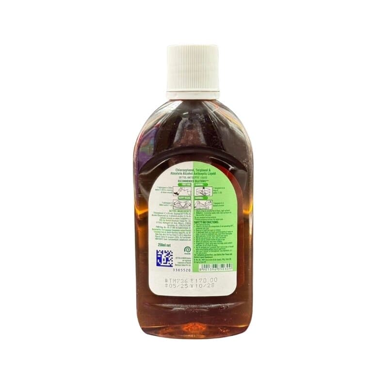 Dettol Liquid 250 mL