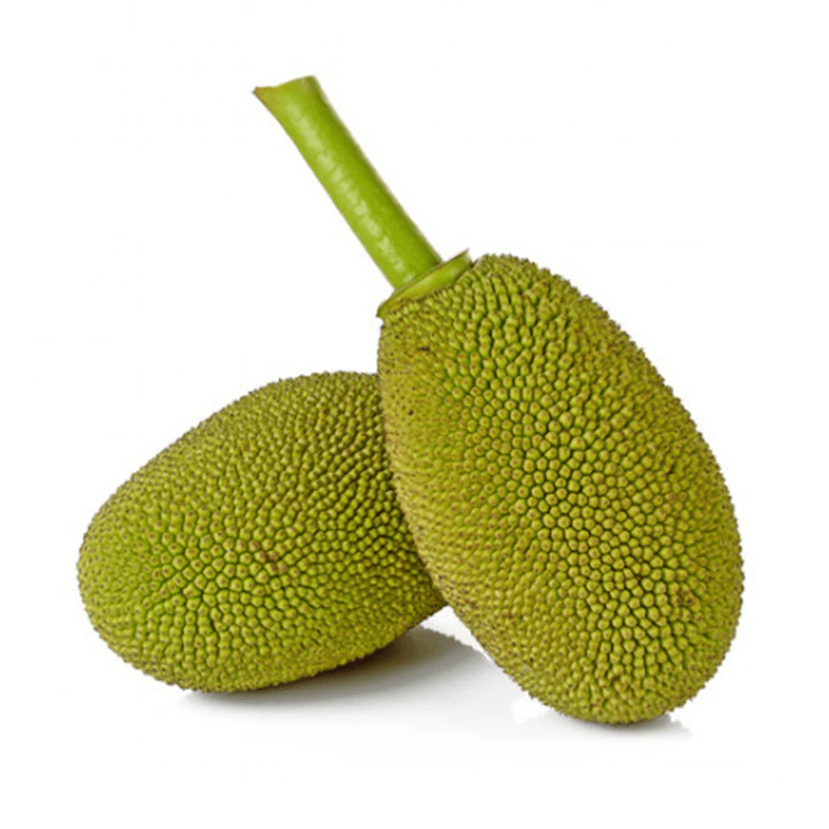 Tender Jackfruit India Air 500 g