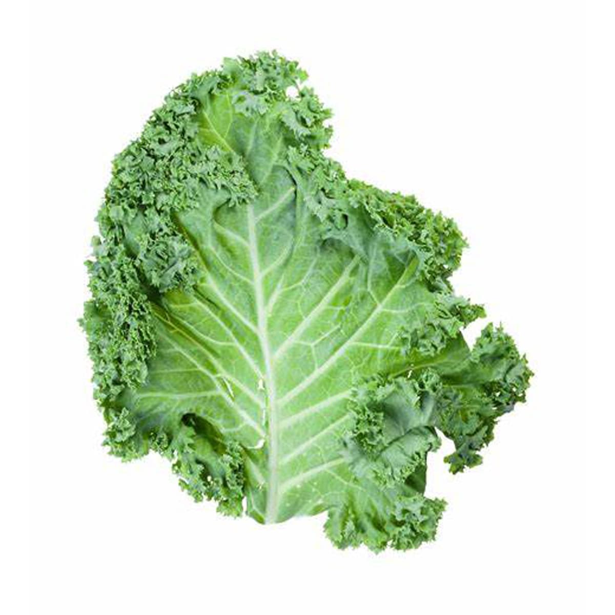 Kale Leaves Usa