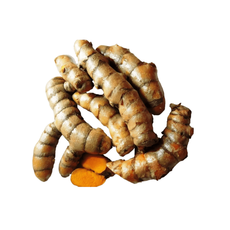 Fresh Turmeric India Air 100 g