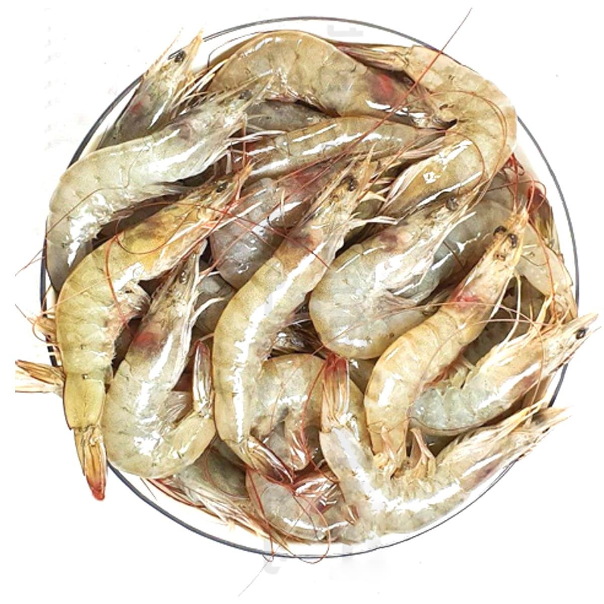 Prawns Iran 500 g