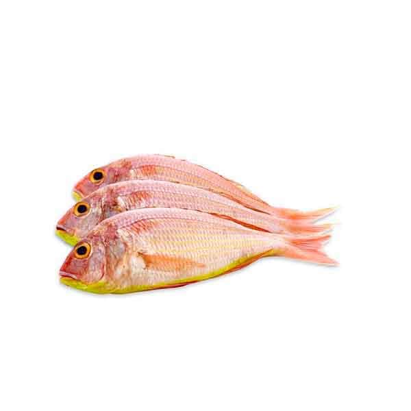 Sultan Ibrahims 500 g