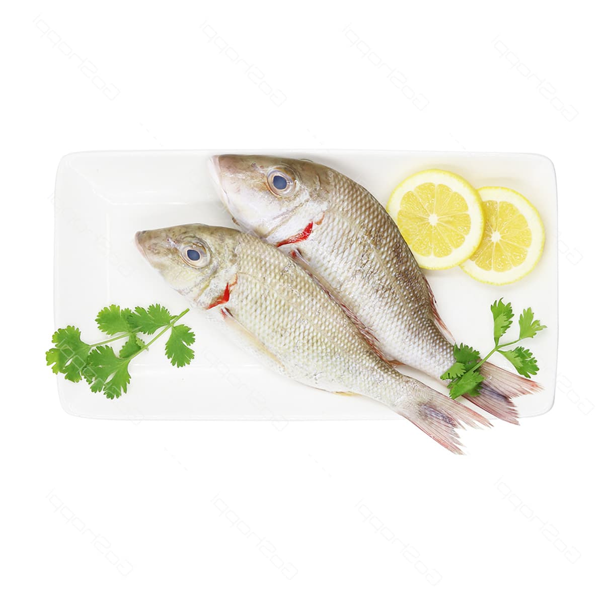 Sheri Smalls 500 g