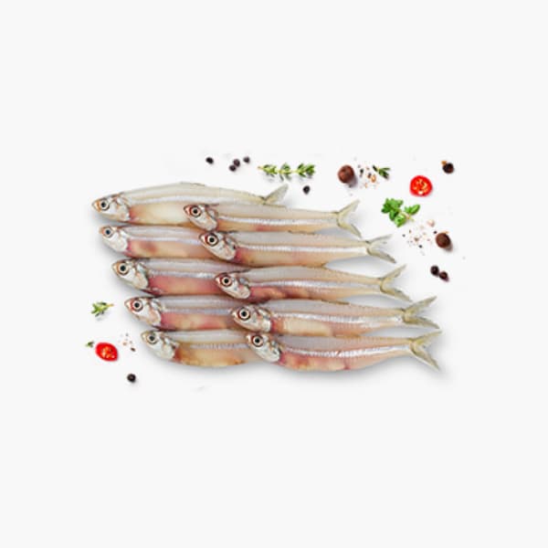 Anchovi Oman 500 g