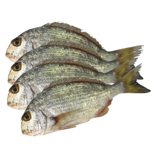 Durdmans 500 g