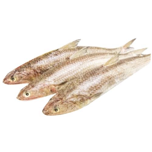 Makroni Veltans 500 g