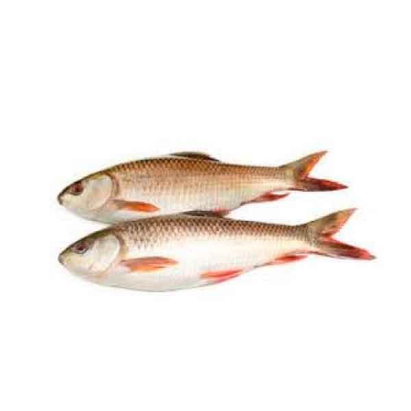 Rohu Whole Cuttings 1 Kg