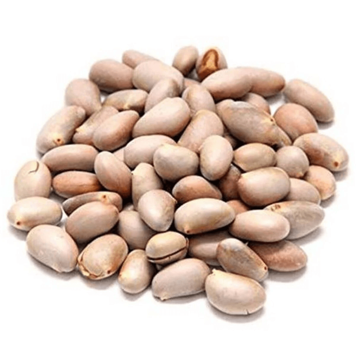 Indian Jack Fruit Seed 500 g