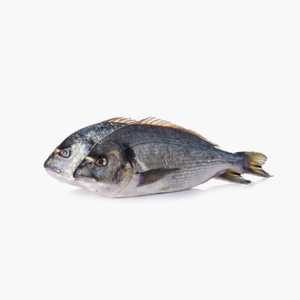 Seabream Turkey 500 g