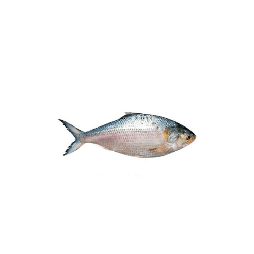 Thodi 500 g