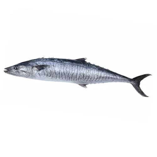 King Fish Big Qatar 7 Kg Whole